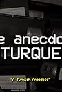 Une anecdote turque (2015)