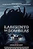 Laberinto de sombras (2024) Poster