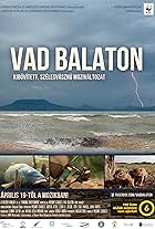 Vad Balaton (2018)