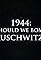 1944: Should We Bomb Auschwitz?'s primary photo