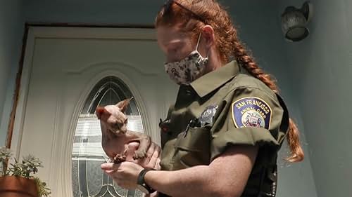 Live Rescue: Hairless Cat Rescued From Stairwell