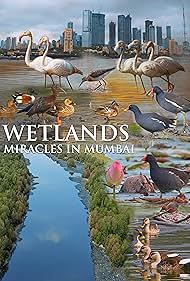 Wetlands - Miracles in Mumbai (2020)