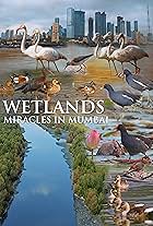 Wetlands - Miracles in Mumbai