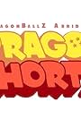 DragonShortZ (2019)