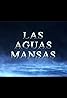 Las aguas mansas (TV Series 1994– ) Poster