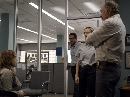 Demián Bichir, Ted Levine, and Diane Kruger in The Bridge (2013)