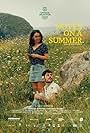 Notes on a Summer (2023)