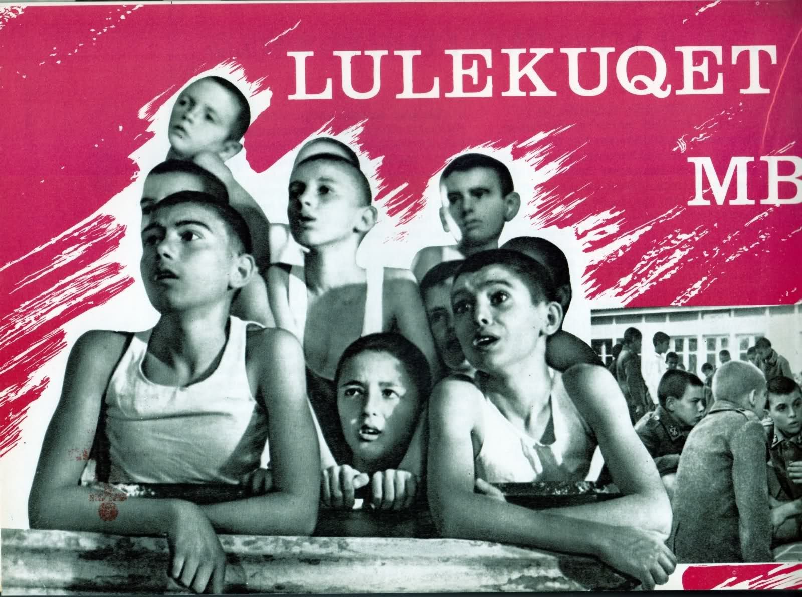 Lulekuqet mbi mure (1976)