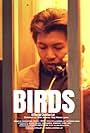 Birds (2016)