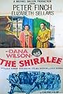 The Shiralee (1957)