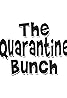 The Quarantine Bunch (TV Series 2020– ) Poster