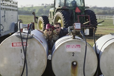 Elizabeth Hurley and Matthew Perry in Serving Sara (2002)