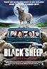 Black Sheep (2006) Poster