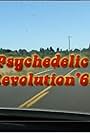 Psychedelic Revolution '67 (2007)