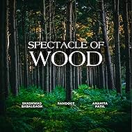 Spectacle of Wood (2024)