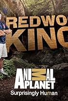 Redwood Kings (2013)