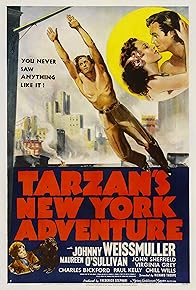 Primary photo for Tarzan's New York Adventure