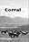 Corral