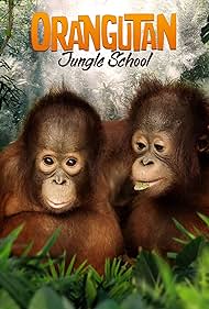 Orangutan Jungle School (2018)