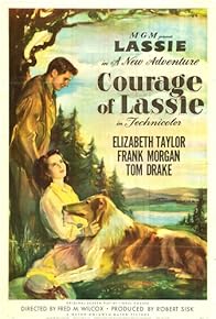 Primary photo for Courage of Lassie