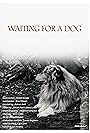 Waiting for a Dog (2018)