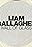 Liam Gallagher: Wall of Glass