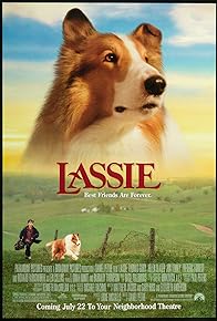 Primary photo for Lassie