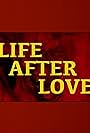 Life After Love (2018)