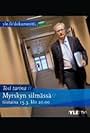 Myrskyn silmässä (2011)