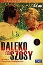 Daleko od szosy (1976)