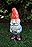 Gnomes