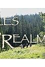 Roles & Realms (2016)