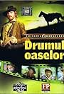 Drumul oaselor (1980)