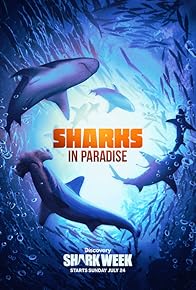 Primary photo for Sharks in Paradise