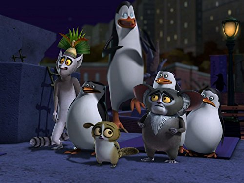 Jeff Bennett, John DiMaggio, Danny Jacobs, Tom McGrath, Kevin Michael Richardson, Andy Richter, and James Patrick Stuart in The Penguins of Madagascar (2008)