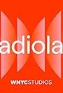 Radiolab (2002)