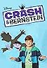 Crash & Bernstein (TV Series 2012–2014) Poster