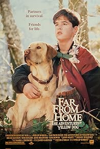 Primary photo for Far from Home: The Adventures of Yellow Dog