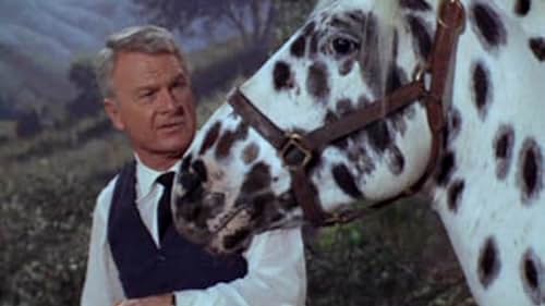 Eddie Albert in Green Acres (1965)