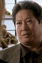 Sammo Kam-Bo Hung in Martial Law (1998)