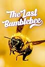 The Last Bumblebee (2024)