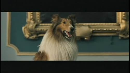 Lassie Scene: Lassie Goes To Court