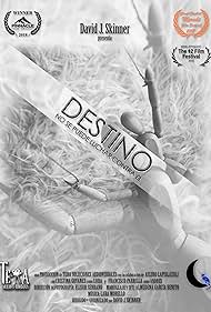 Destino (2017)