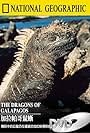 The Dragons of Galapagos (1998)