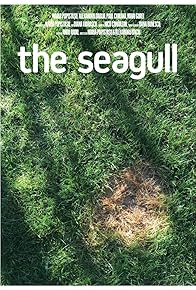 Primary photo for The Seagull