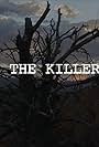 Through the Killers' Eyes