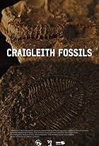 Craigleith Fossils (2021)