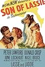 Son of Lassie (1945)