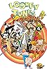 The Bugs Bunny/Looney Tunes Comedy Hour (TV Series 1985– ) Poster