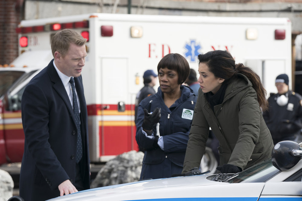 Regina Taylor, Diego Klattenhoff, and Mozhan Navabi in The Blacklist (2013)